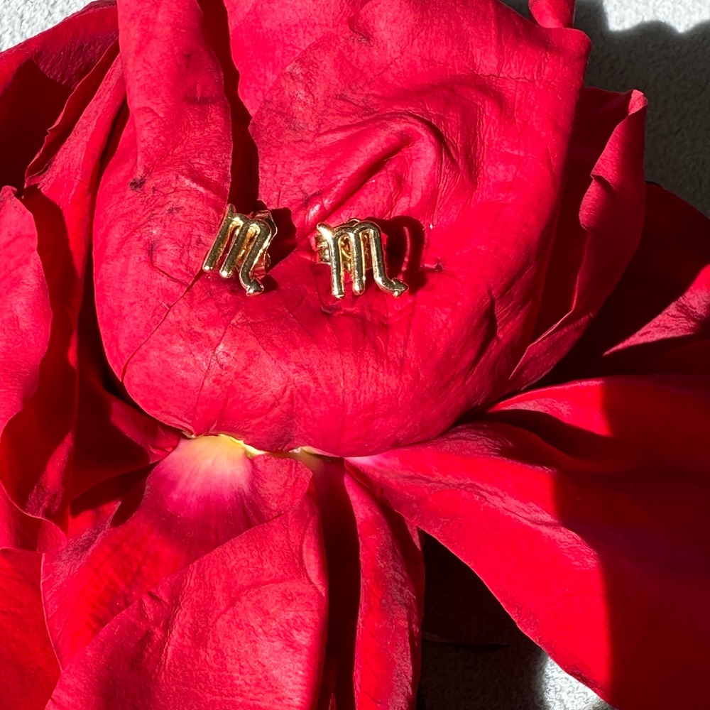 Scoripo Horoscope Earring